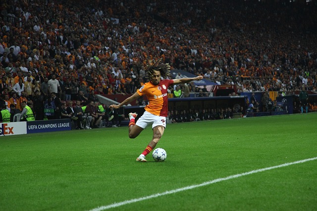 给予了高度 给予了高度