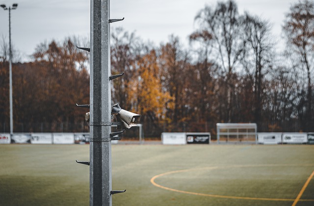 伤病困扰 伤病困扰