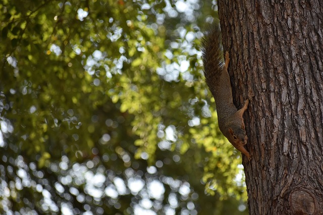 浩的出色表 浩的出色表