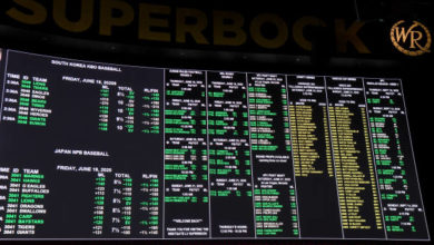 条件和环境 条件和环境