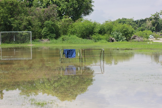 找出破绽 找出破绽