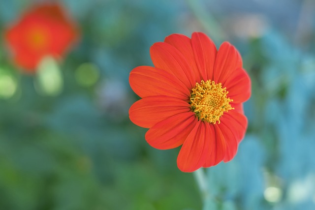 不只是数字 不只是数字