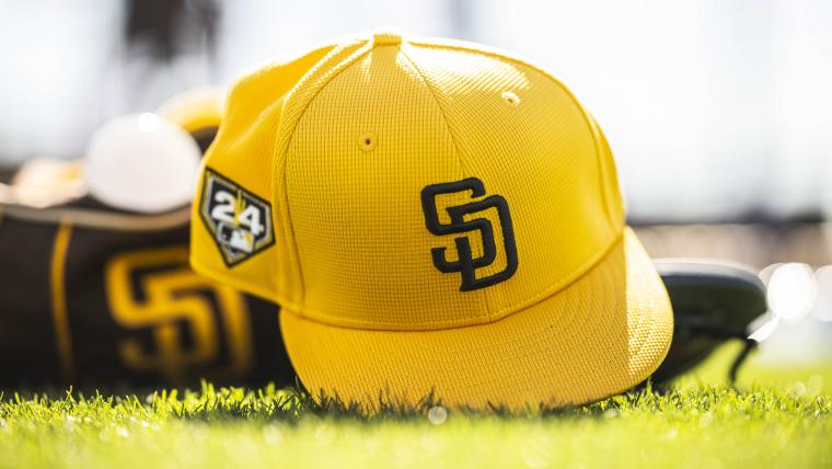 丹佛掘金隊 丹佛掘金隊