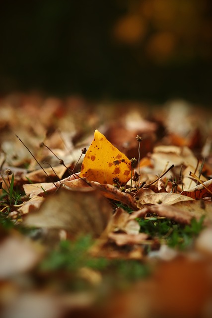 洲乃至全球 洲乃至全球