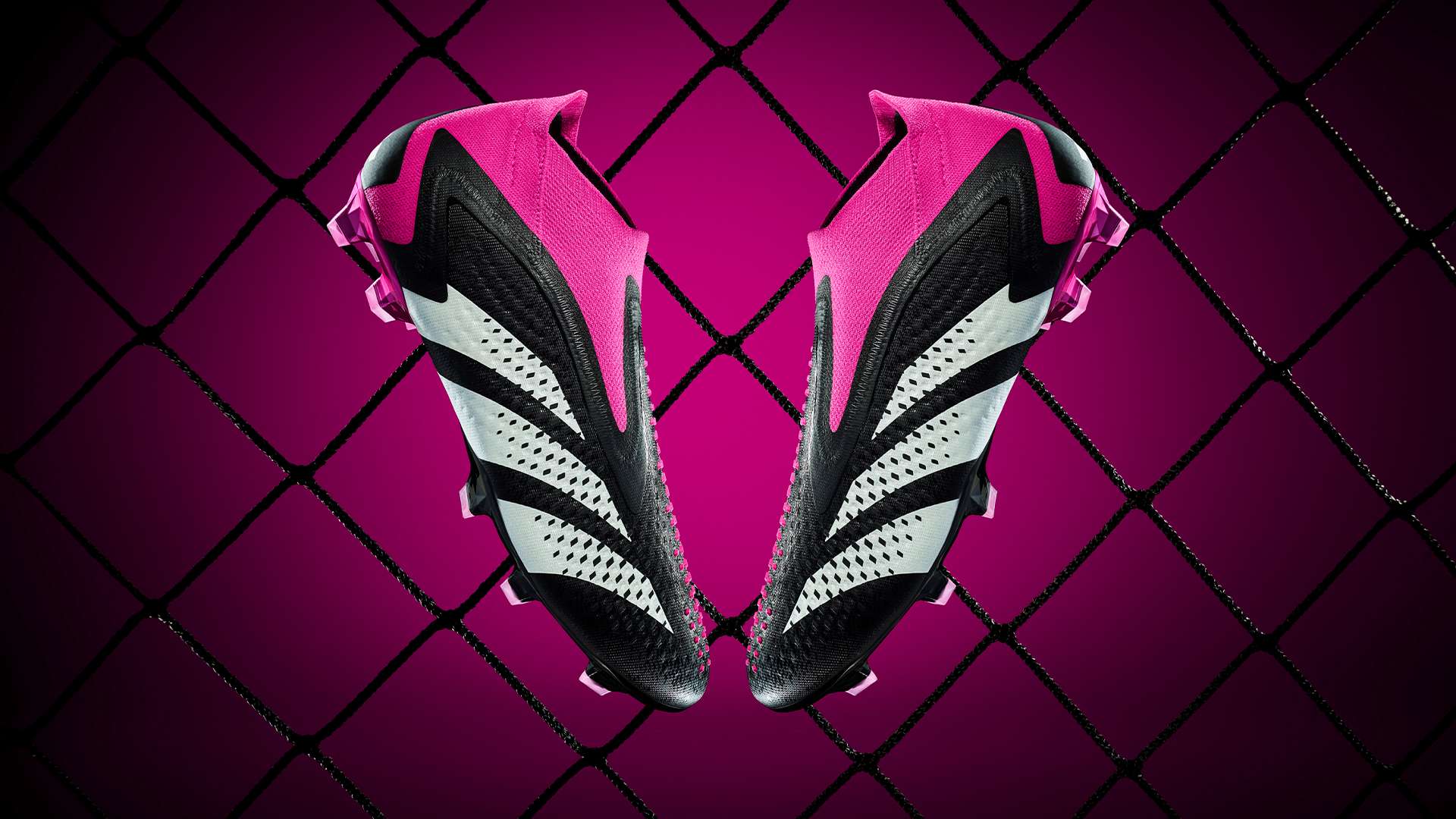 他們所帶領 他們所帶領