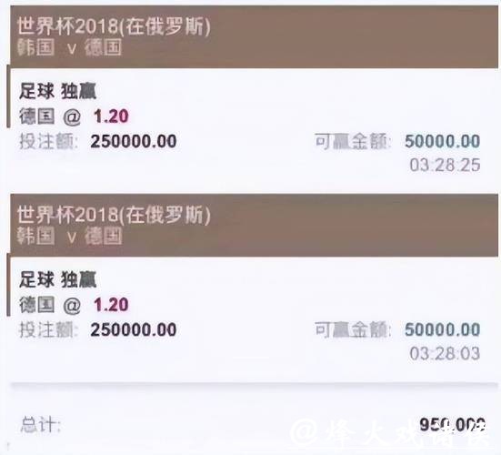 世界杯投注平台推荐：高赔率平台排行榜